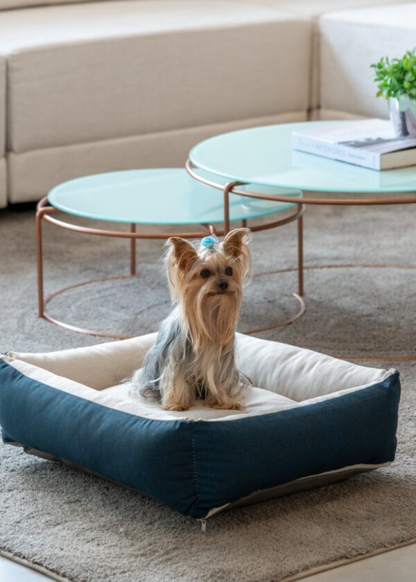 Cama Pet